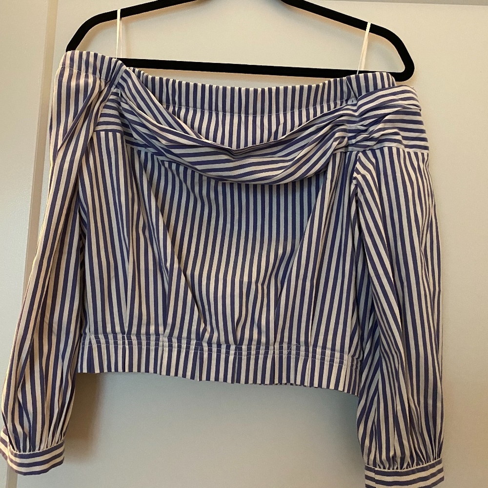 Zara Strapless Striped Crop Top